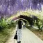 あやみのプロフィール画像