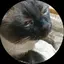 はっぴーのプロフィール画像