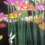 かえのプロフィール画像