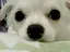 Rickyのプロフィール画像