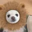 さのプロフィール画像
