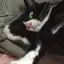 リリィのプロフィール画像