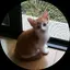 美月のプロフィール画像