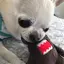 ゆかのプロフィール画像