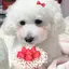 あかまつななみのプロフィール画像