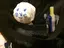 ユキノシタのプロフィール画像