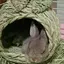 みくのプロフィール画像