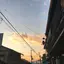こだまのプロフィール画像