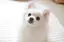 たかぎのプロフィール画像