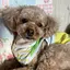 がっちゃんのプロフィール画像