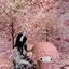 もものプロフィール画像
