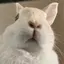 おもちのプロフィール画像