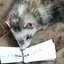 takeruのプロフィール画像