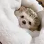 もえかのプロフィール画像