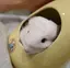 麻衣のプロフィール画像