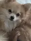 あやかんのプロフィール画像