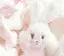 aのプロフィール画像