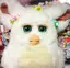 まぁのプロフィール画像