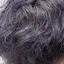 しょーきのプロフィール画像