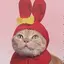 どりのプロフィール画像