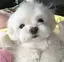 もこのプロフィール画像