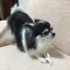 お市のプロフィール画像