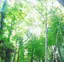 nonのプロフィール画像