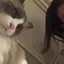 あきのプロフィール画像