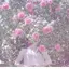 生成のプロフィール画像