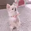 りさのプロフィール画像