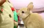 りおのプロフィール画像