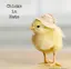 みなっちのプロフィール画像