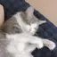 nachanのプロフィール画像