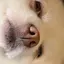 駿介のプロフィール画像