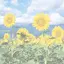 もえのプロフィール画像
