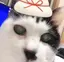 のんのんのプロフィール画像