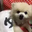 まめのプロフィール画像