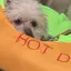 ももかのプロフィール画像