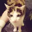 みーのプロフィール画像