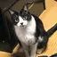 おじょうのプロフィール画像