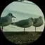 あやのプロフィール画像