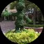 さおっちのプロフィール画像