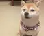ryuのプロフィール画像