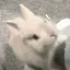 zzzのプロフィール画像