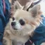 こまつなのプロフィール画像