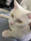 しゅが太郎のプロフィール画像
