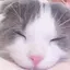 ゆいのプロフィール画像