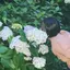 みずむらのプロフィール画像