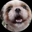 メリーのプロフィール画像