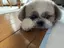 sakiのプロフィール画像